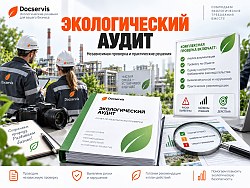 Подробнее об экологическом Аудите