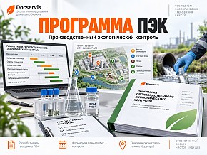 Заказать услугу разработка программы ПЭК